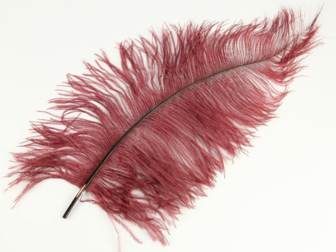 Ostrich Spadone Feather (50-65cm)