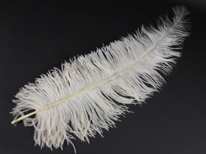 Ostrich Spadone Feather (50-65cm)