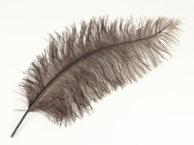 Ostrich Spadone Feather (50-65cm)