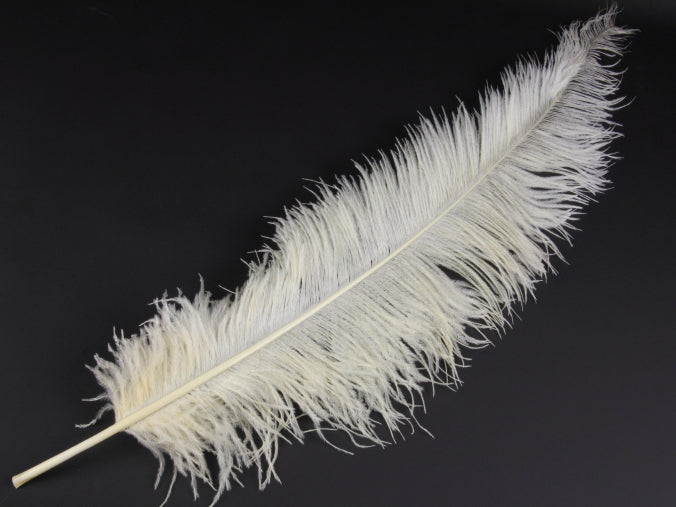 Ostrich Spadone Feather (50-65cm)