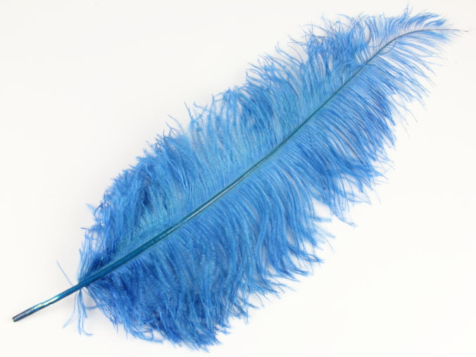 Ostrich Spadone Feather (50-65cm)