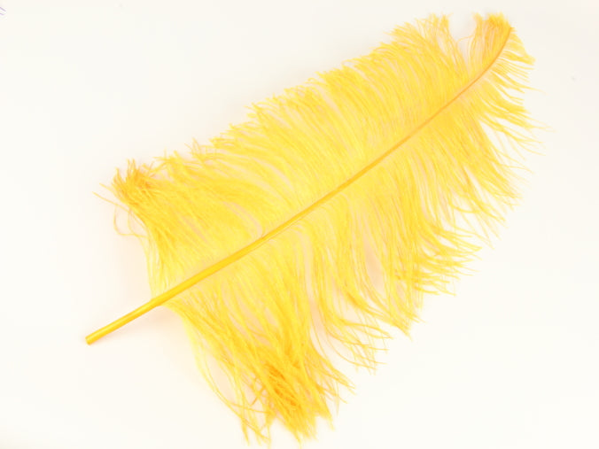 Ostrich Spadone Feather (50-65cm)