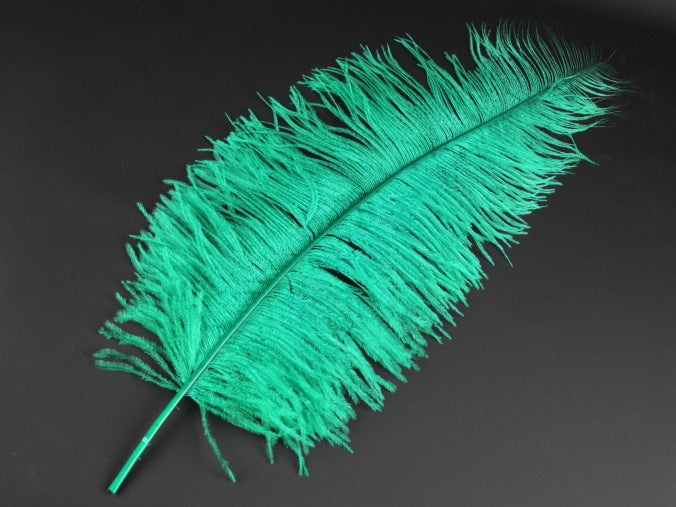 Ostrich Spadone Feather (50-65cm)