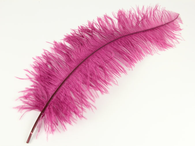 Ostrich Spadone Feather (50-65cm)