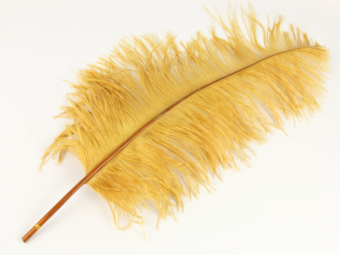 Ostrich Spadone Feather (50-65cm)