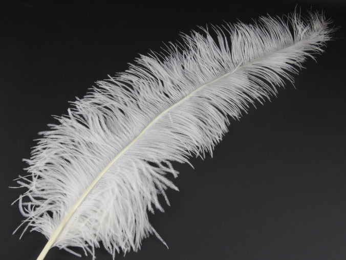 Ostrich Spadone Feather (50-65cm)