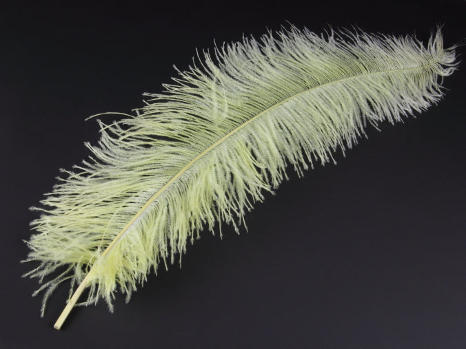 Ostrich Spadone Feather (50-65cm)