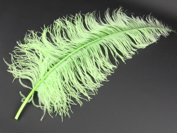 Ostrich Spadone Feather (50-65cm)