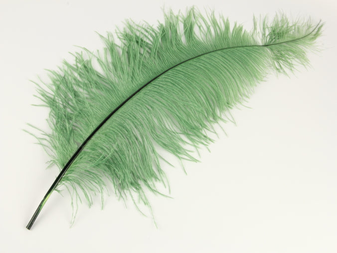 Ostrich Spadone Feather (50-65cm)