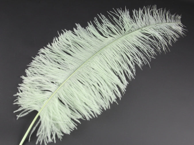 Ostrich Spadone Feather (50-65cm)