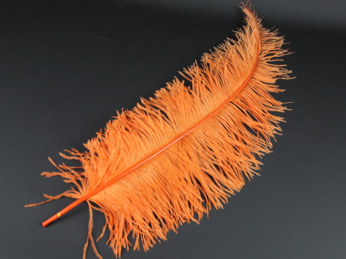 Ostrich Spadone Feather (50-65cm)