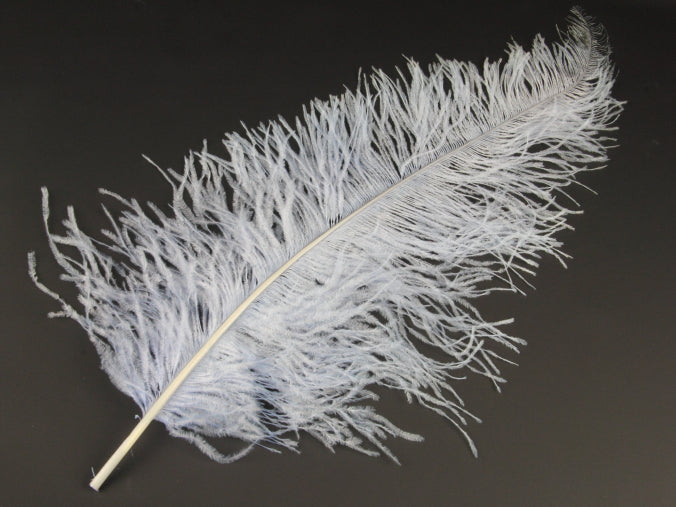 Ostrich Spadone Feather (50-65cm)