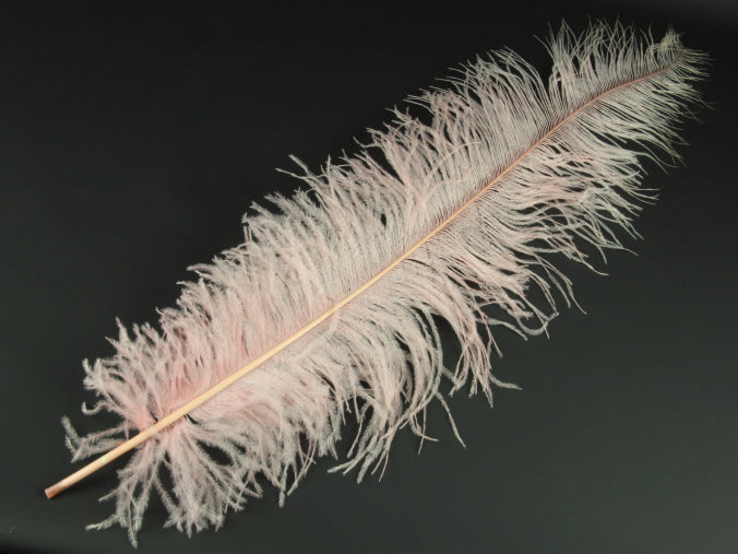 Ostrich Spadone Feather (50-65cm)