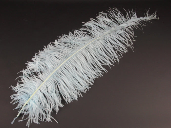 Ostrich Spadone Feather (50-65cm)