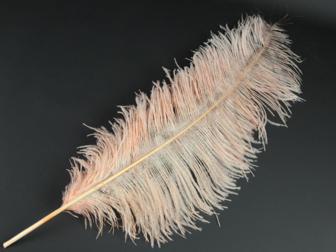 Ostrich Spadone Feather (50-65cm)