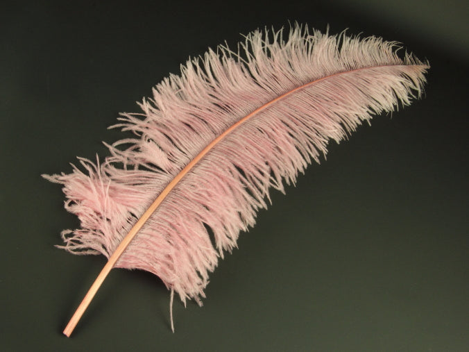 Ostrich Spadone Feather (50-65cm)