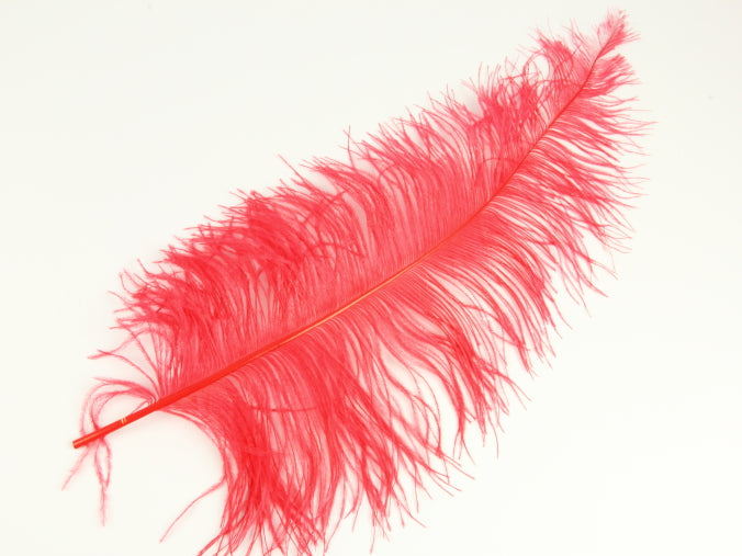 Ostrich Spadone Feather (50-65cm)