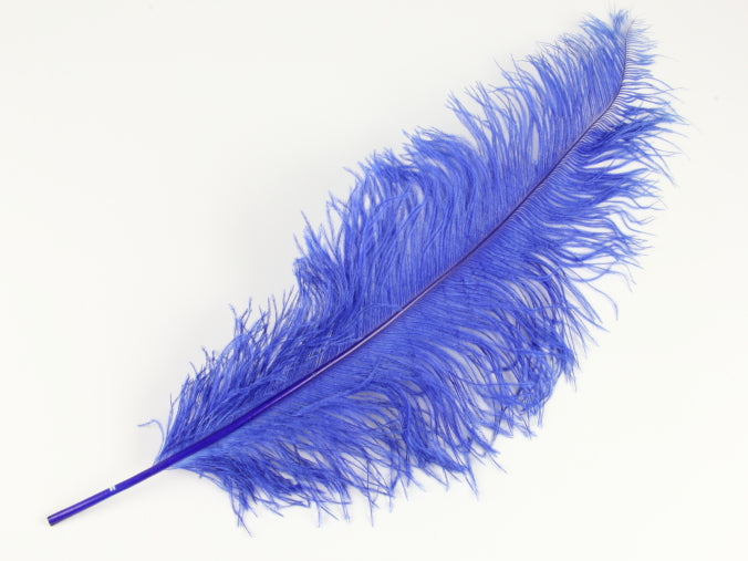 Ostrich Spadone Feather (50-65cm)
