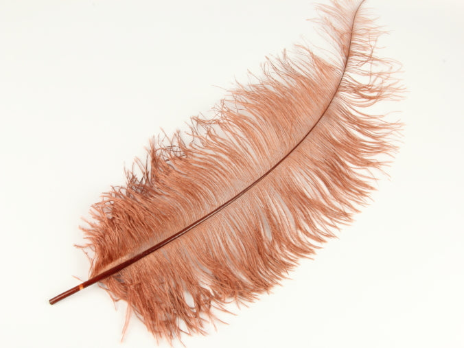Ostrich Spadone Feather (50-65cm)