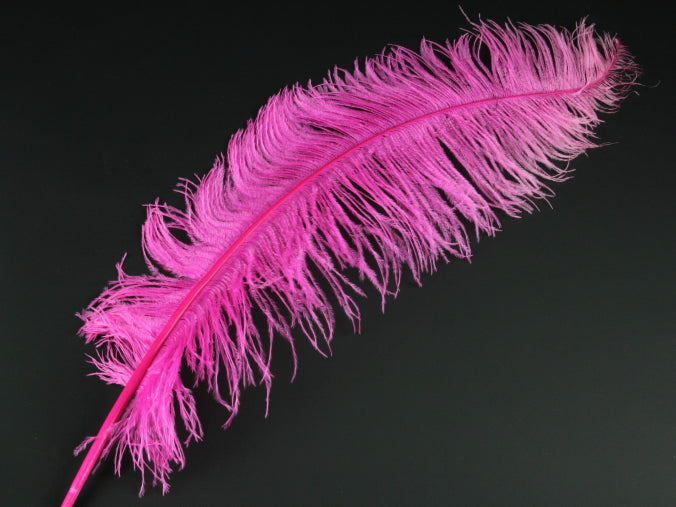 Ostrich Spadone Feather (50-65cm)