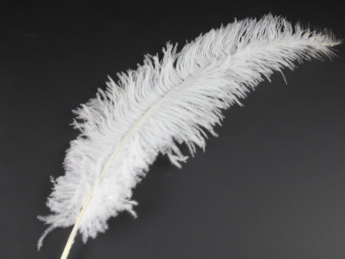 Ostrich Spadone Feather (50-65cm)