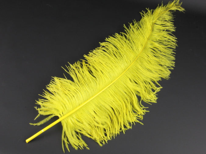 Ostrich Spadone Feather (50-65cm)