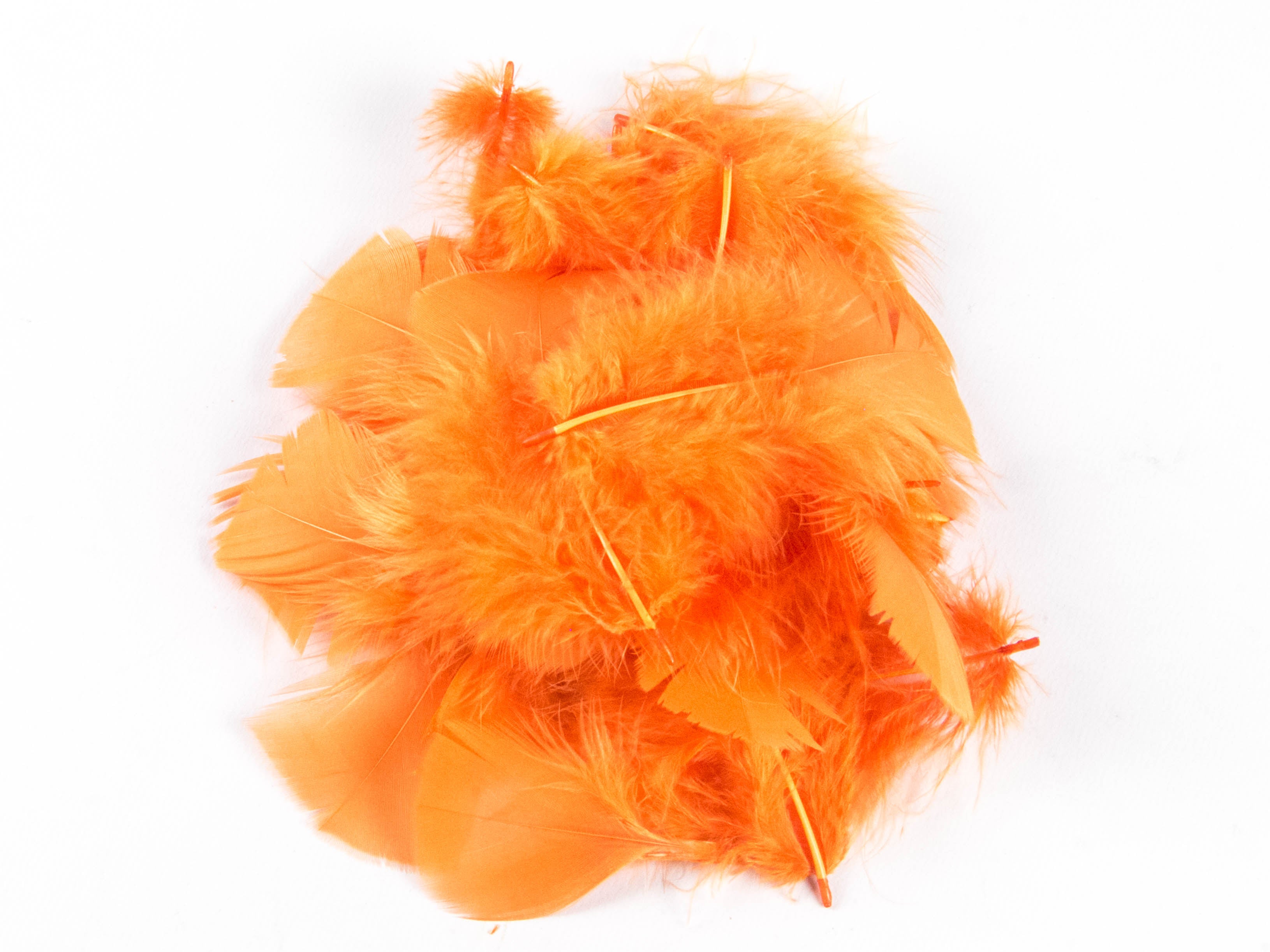 Bulk Turkey Coquille Feathers