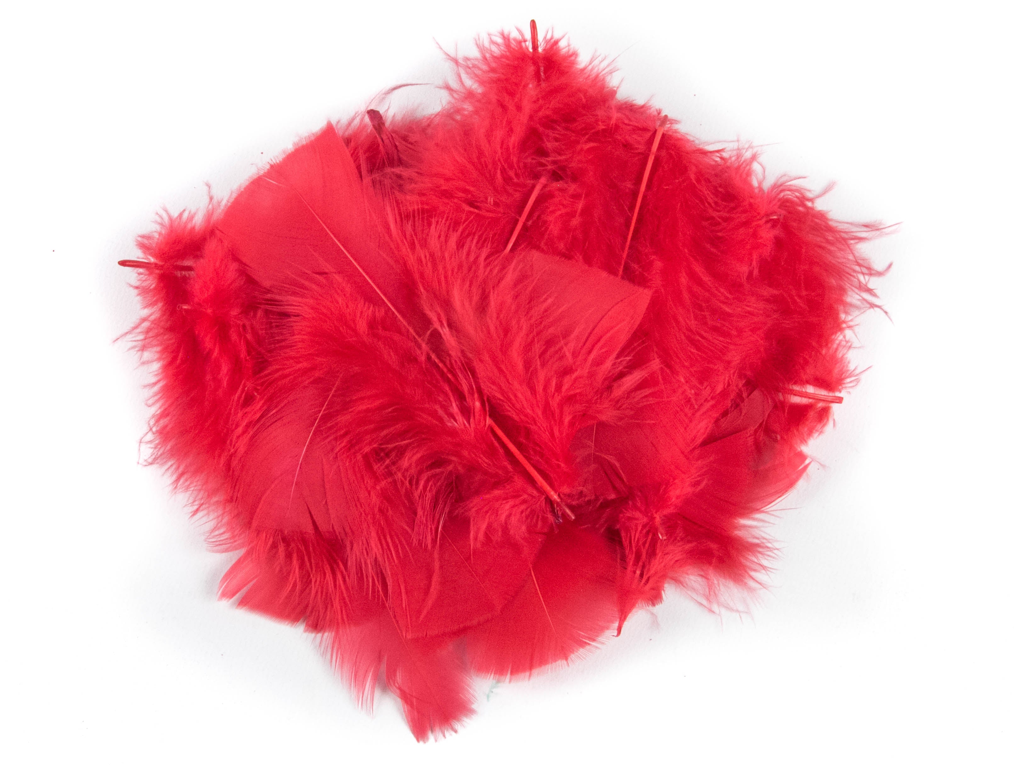 Bulk Turkey Coquille Feathers