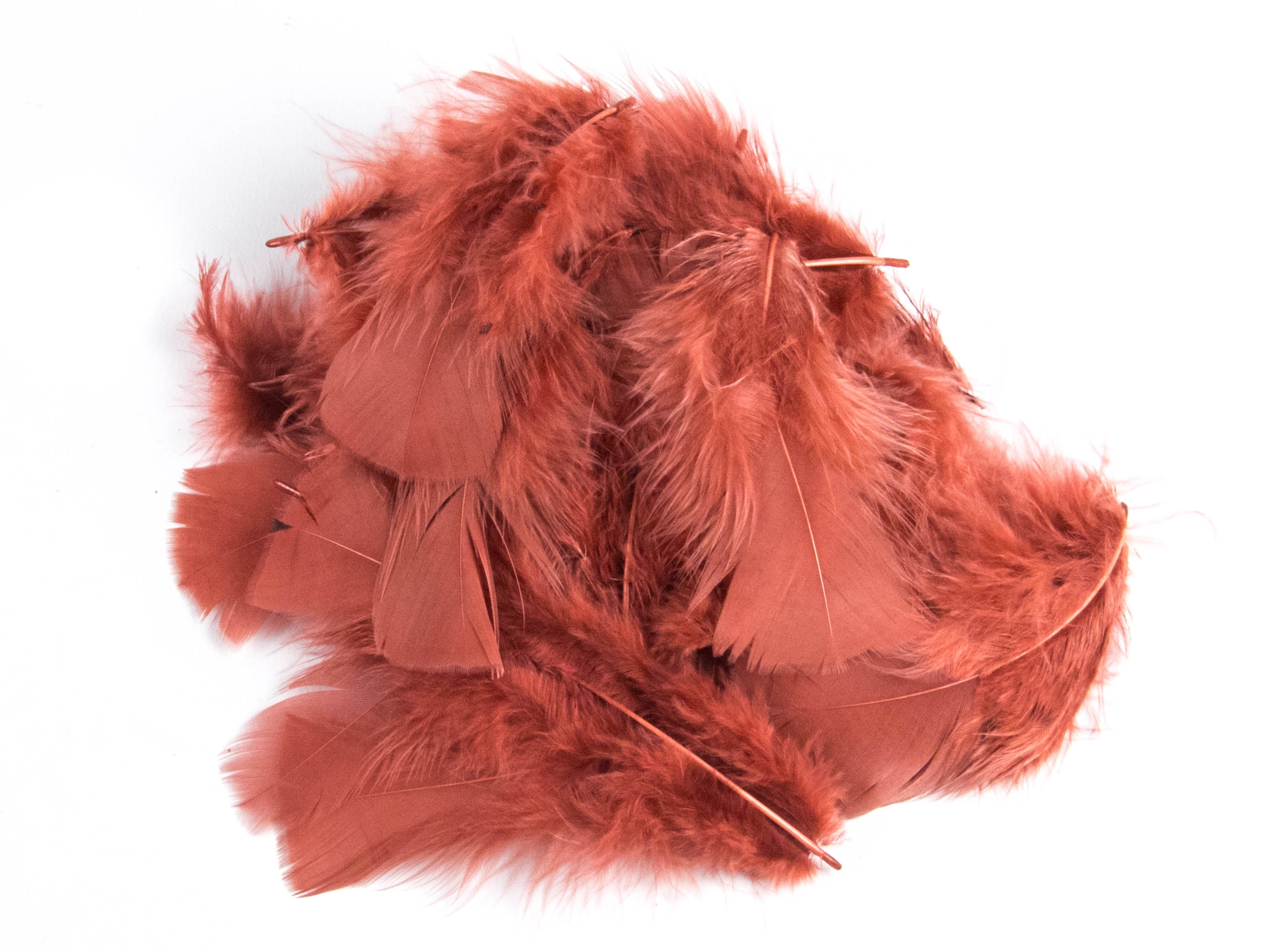 Bulk Turkey Coquille Feathers