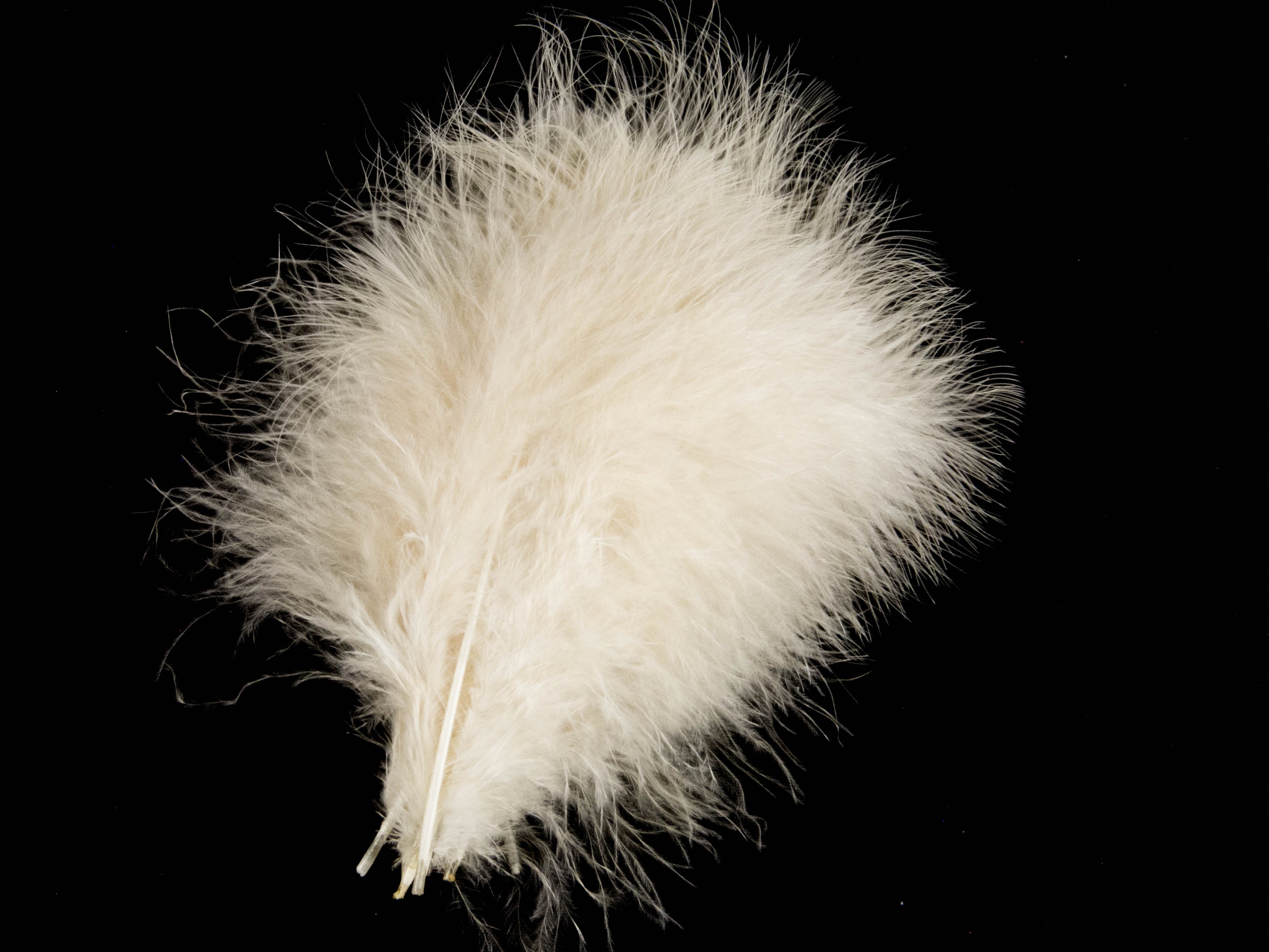 Bulk Turkey Marabout Feathers