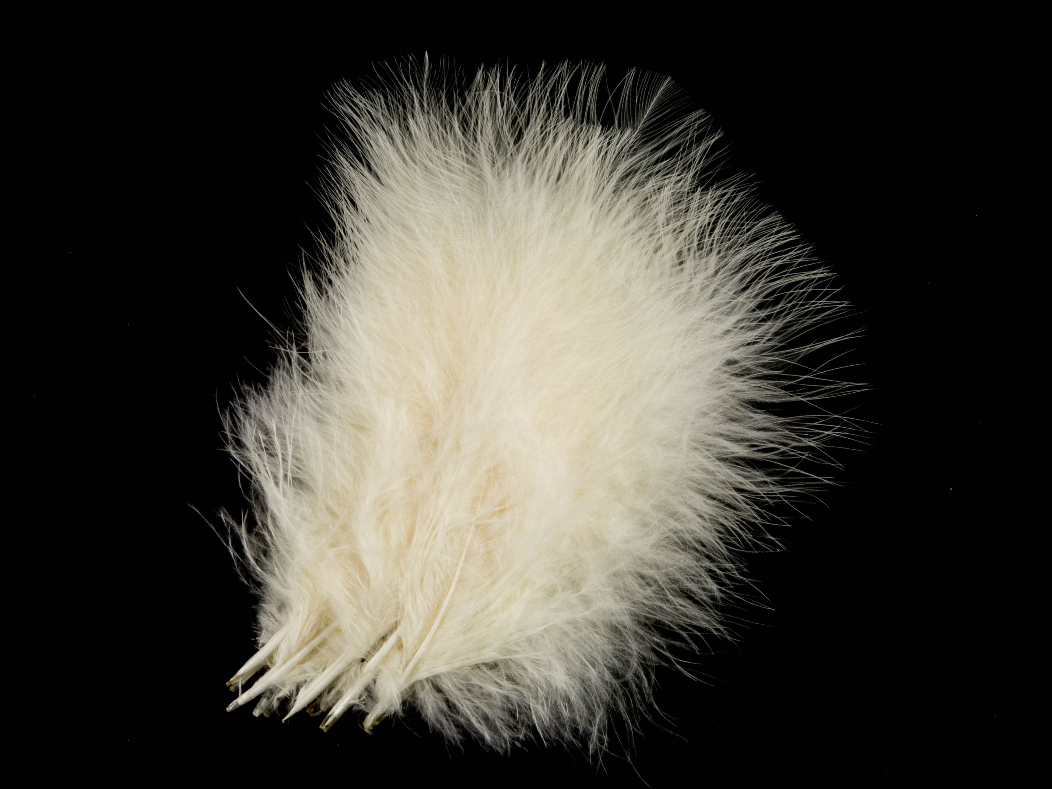 Bulk Turkey Marabout Feathers