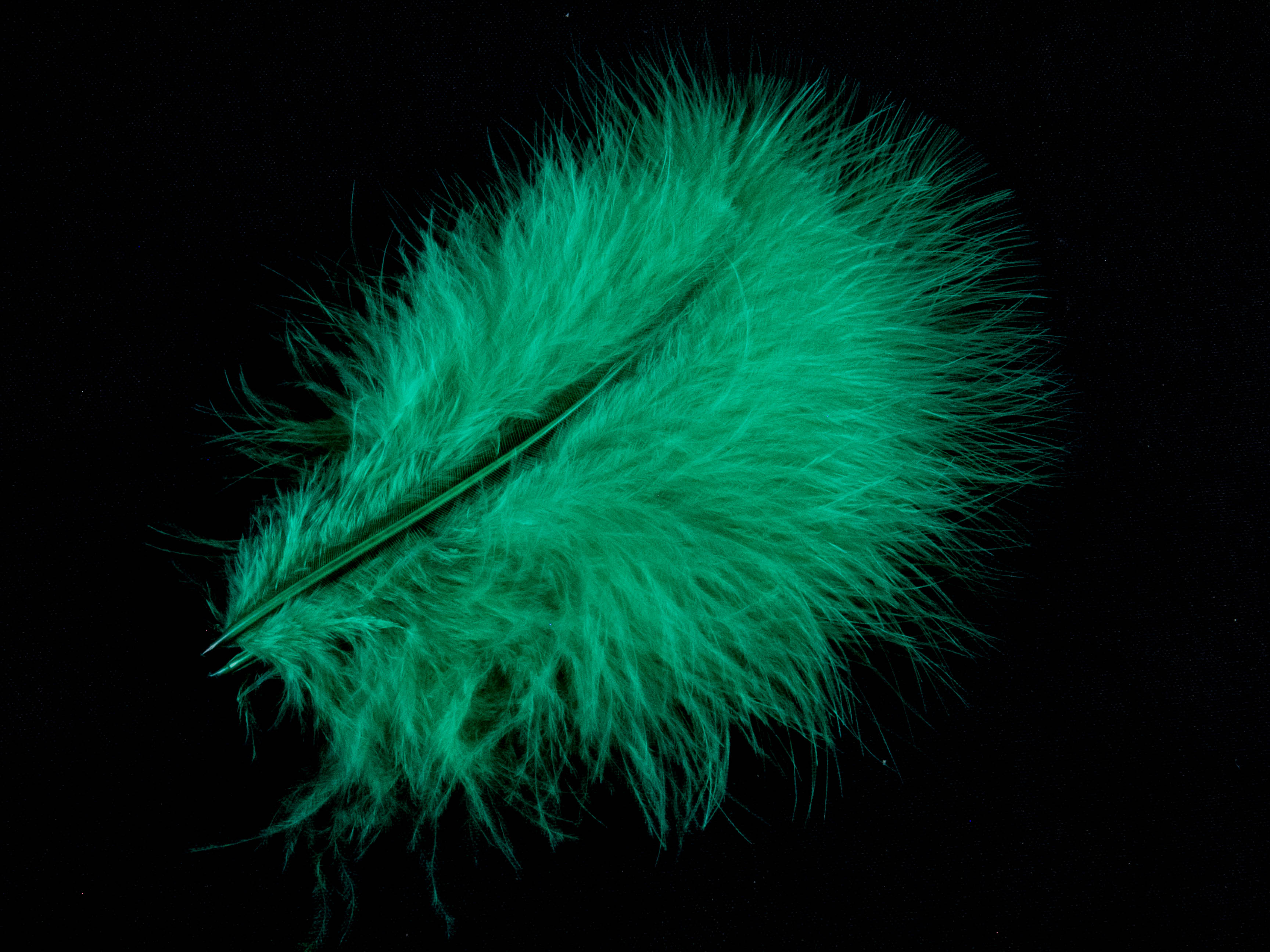Bulk Turkey Marabout Feathers