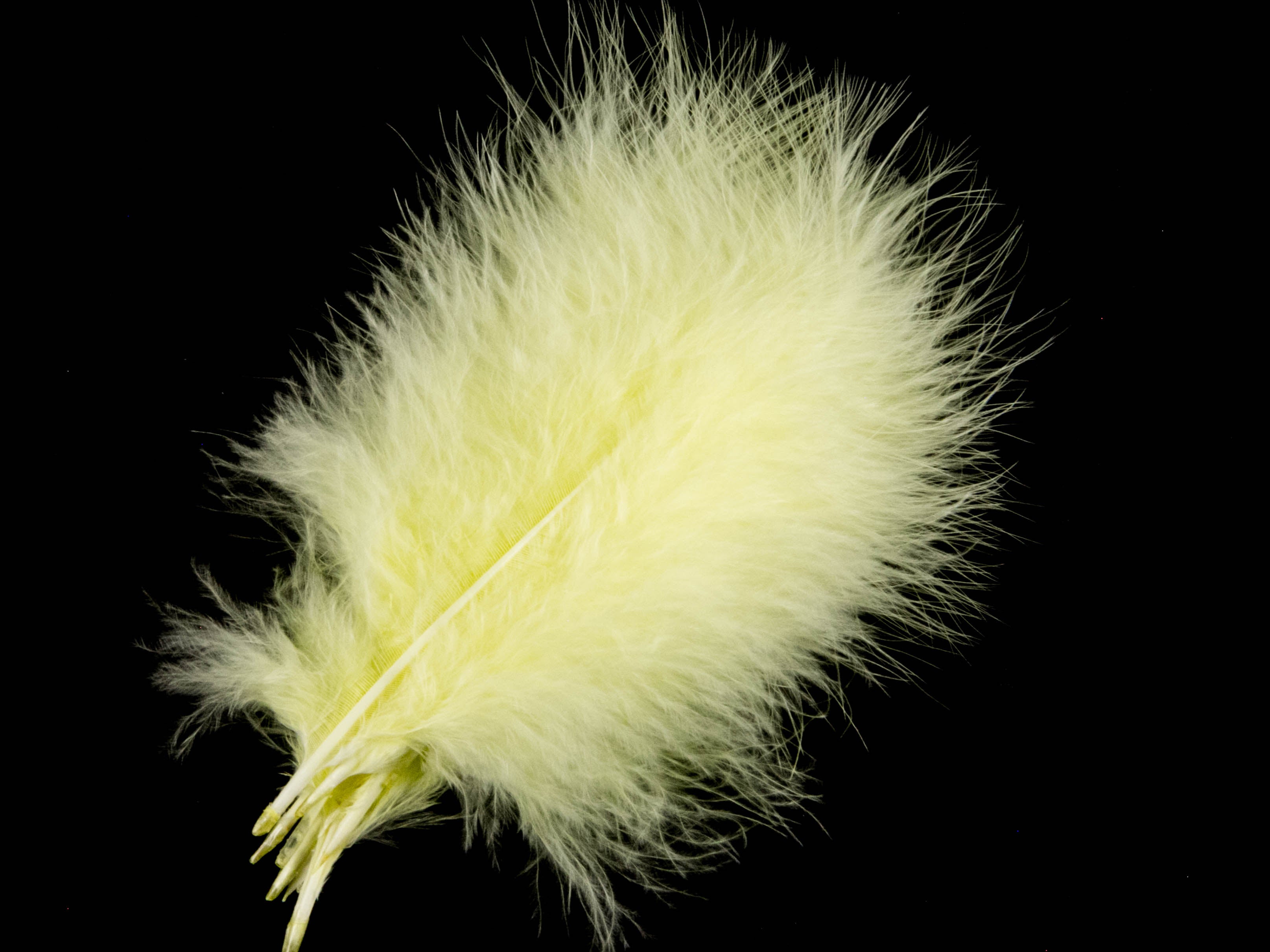 Bulk Turkey Marabout Feathers