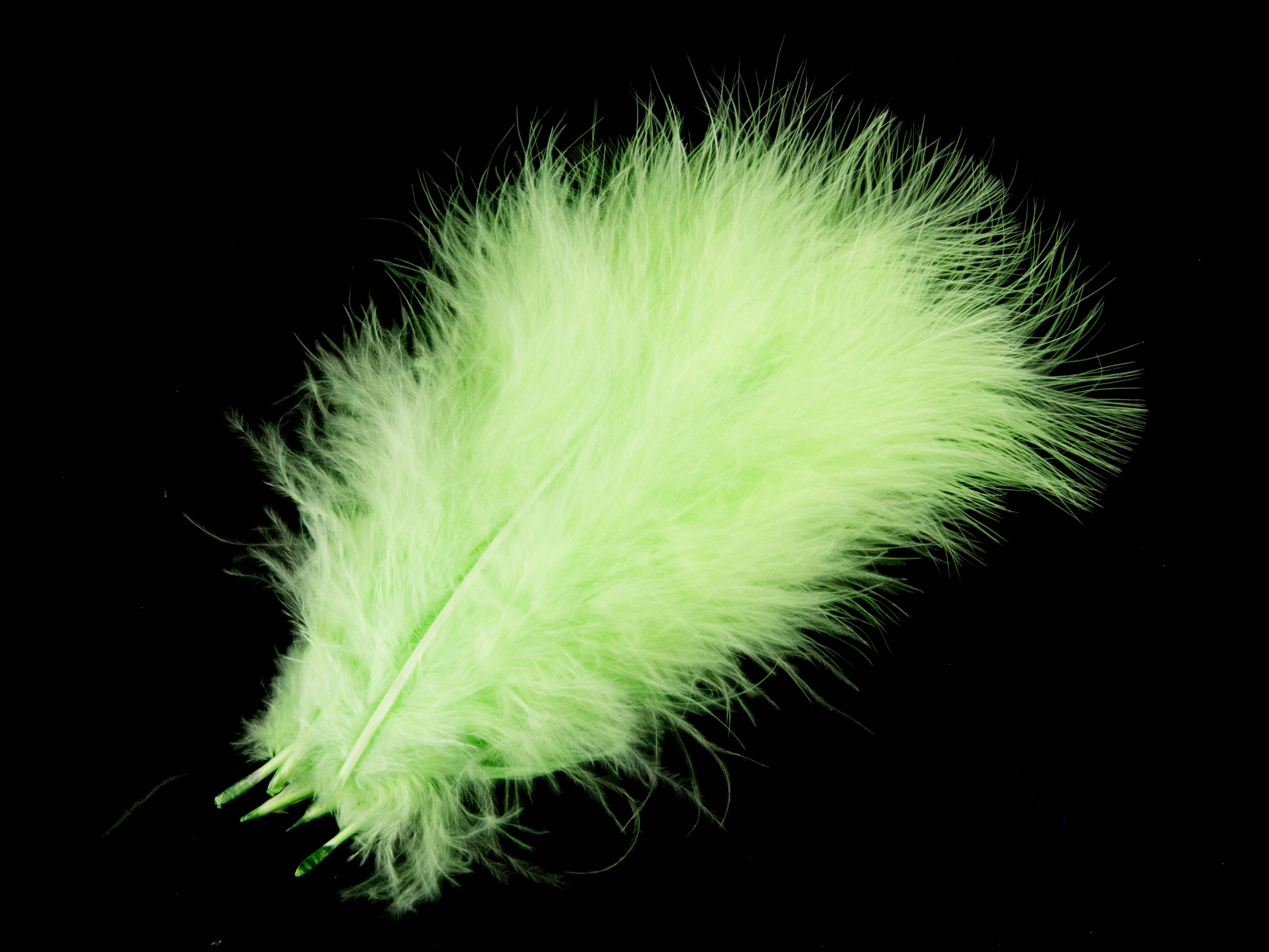Bulk Turkey Marabout Feathers
