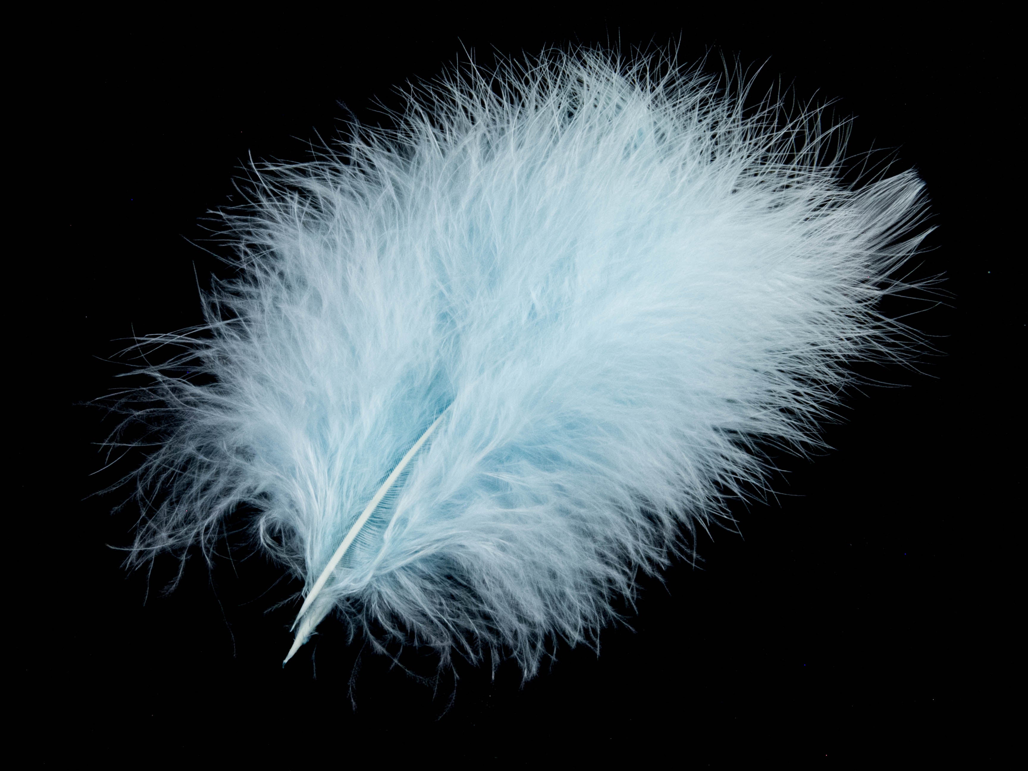 Bulk Turkey Marabout Feathers