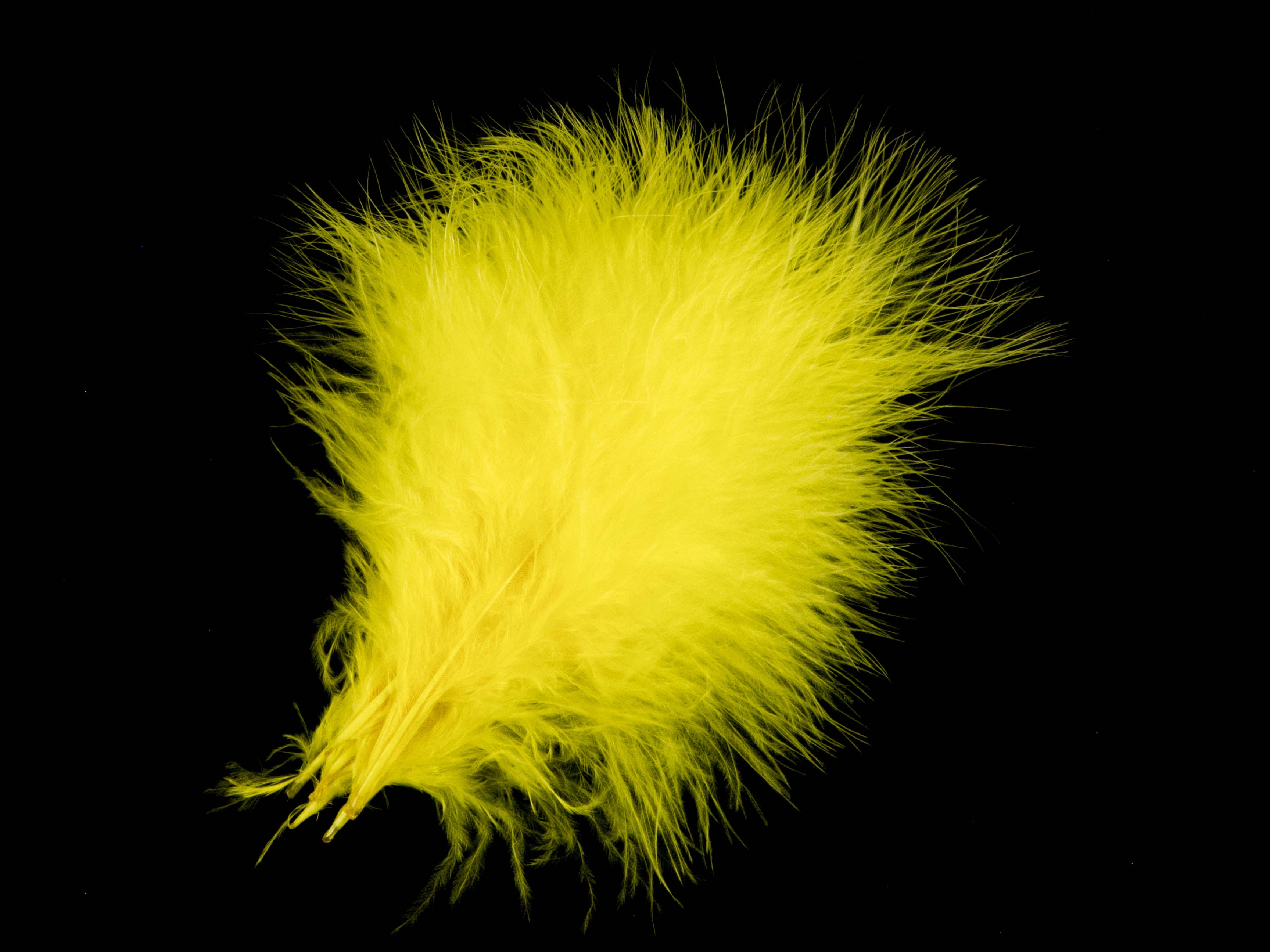 Bulk Turkey Marabout Feathers