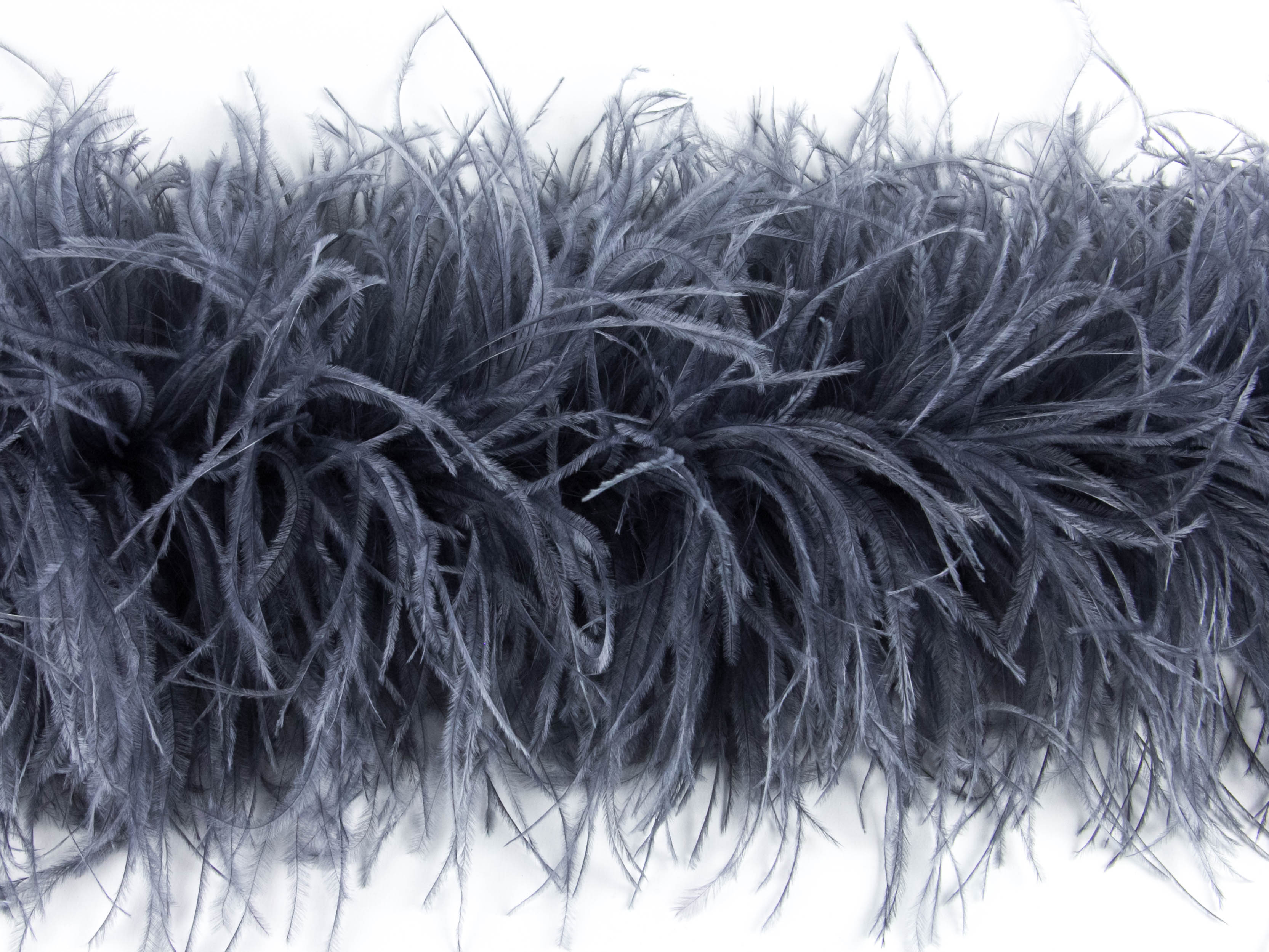Ostrich Feather Boa with Stripped Coque - Dancewear Colours