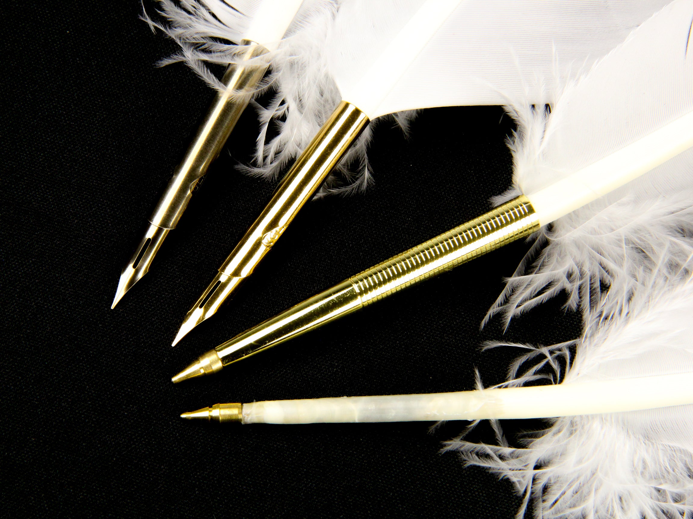 Turkey Quill Feather Pens