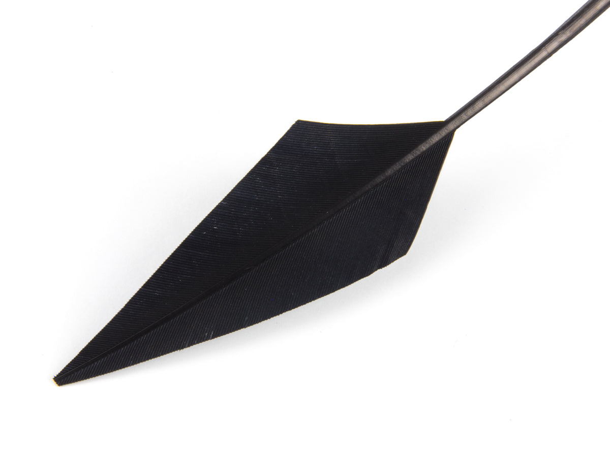 Jewelled Turkey Arrowhead - Pack of 3