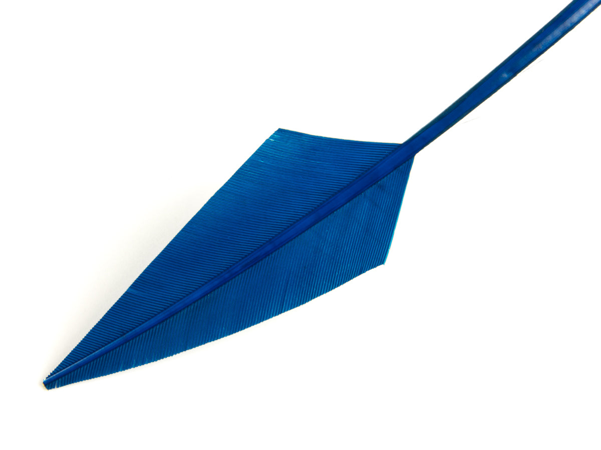 Jewelled Turkey Arrowhead - Pack of 3