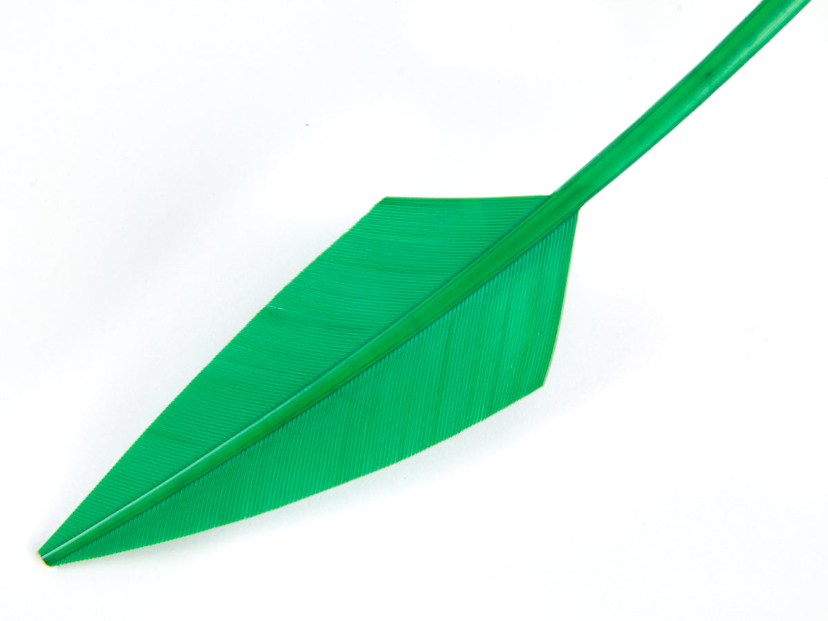 Jewelled Turkey Arrowhead - Pack of 3