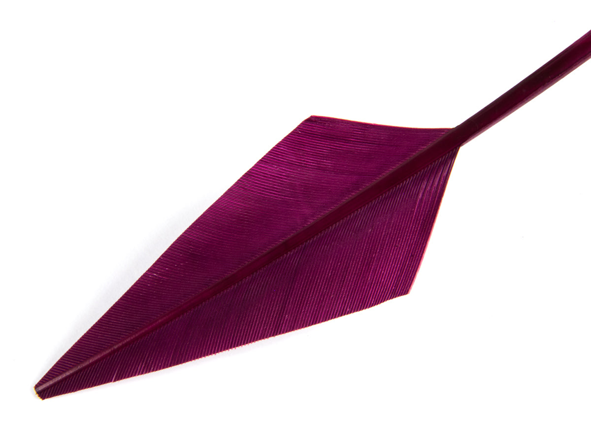 Jewelled Turkey Arrowhead - Pack of 3