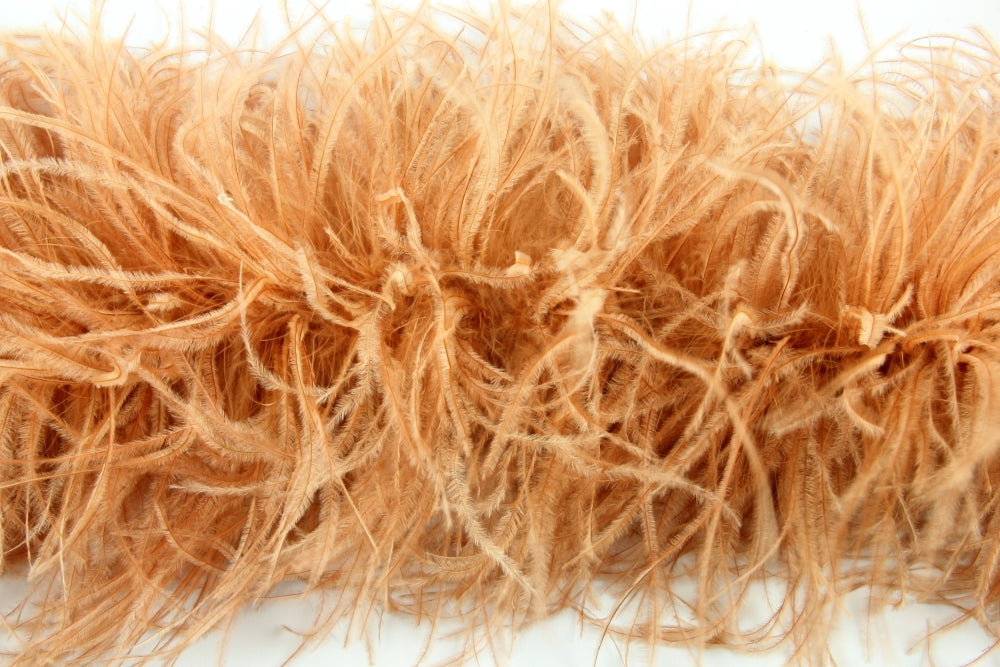 Ostrich Feather Boa with Stripped Coque - Fashion Colours
