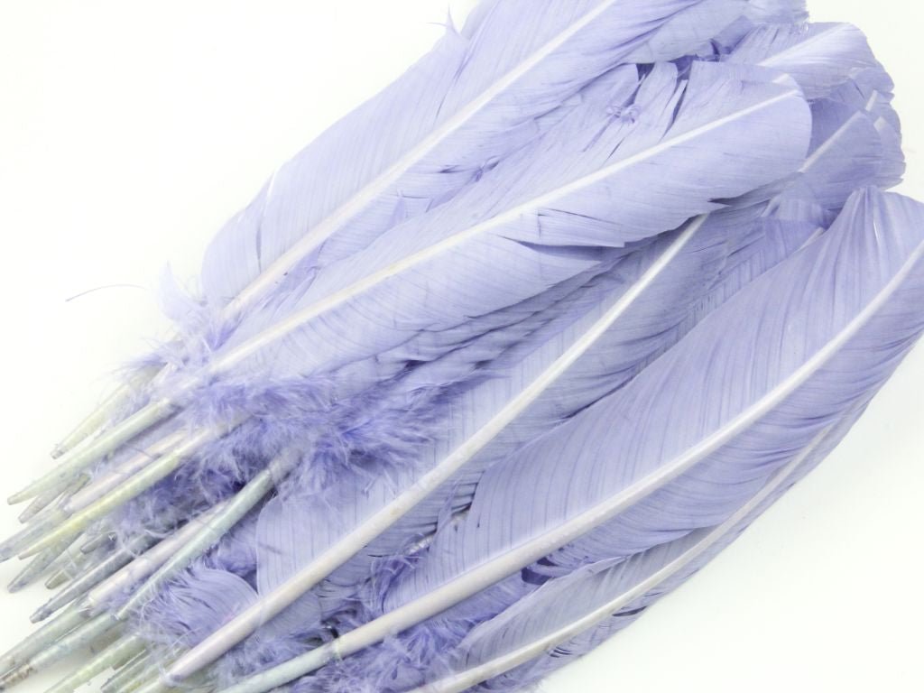 Bulk Turkey Quill Feathers - Craft Quality