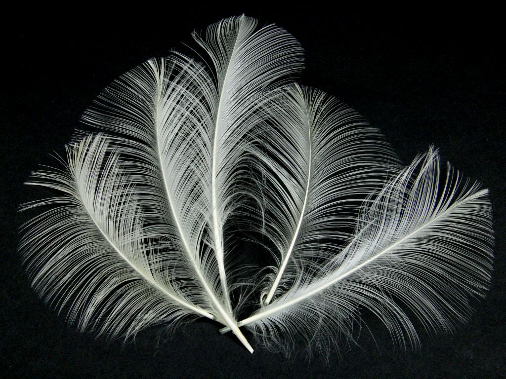 Burnt Goose Nagoire Feather (Pack of 10)