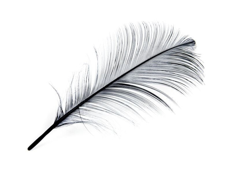 Burnt Goose Nagoire Feather (Pack of 10)