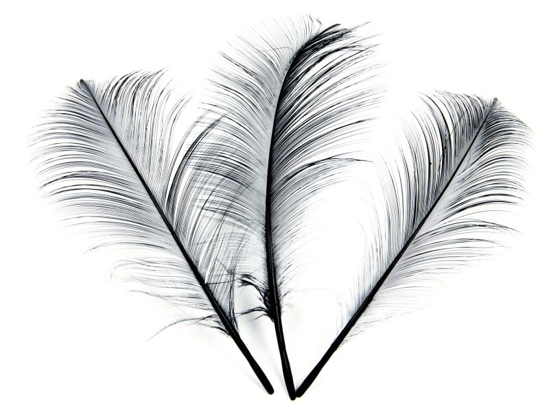 Burnt Goose Nagoire Feather (Pack of 10)