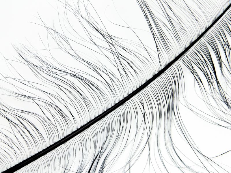 Burnt Ostrich Prime Wing Feathers