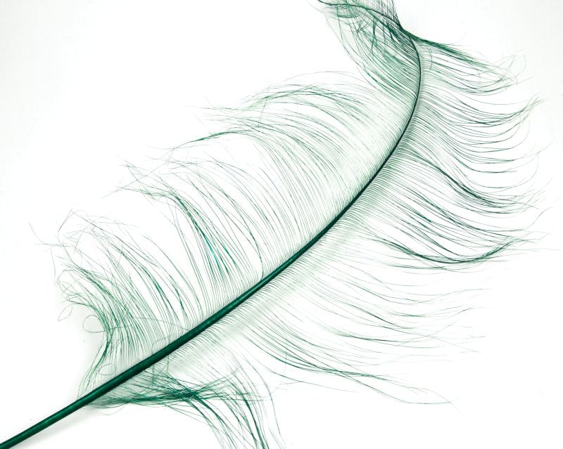 Burnt Ostrich Prime Wing Feathers