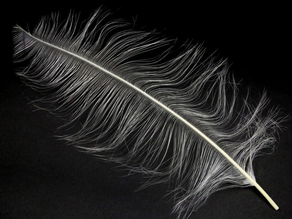 Burnt Ostrich Prime Wing Feathers